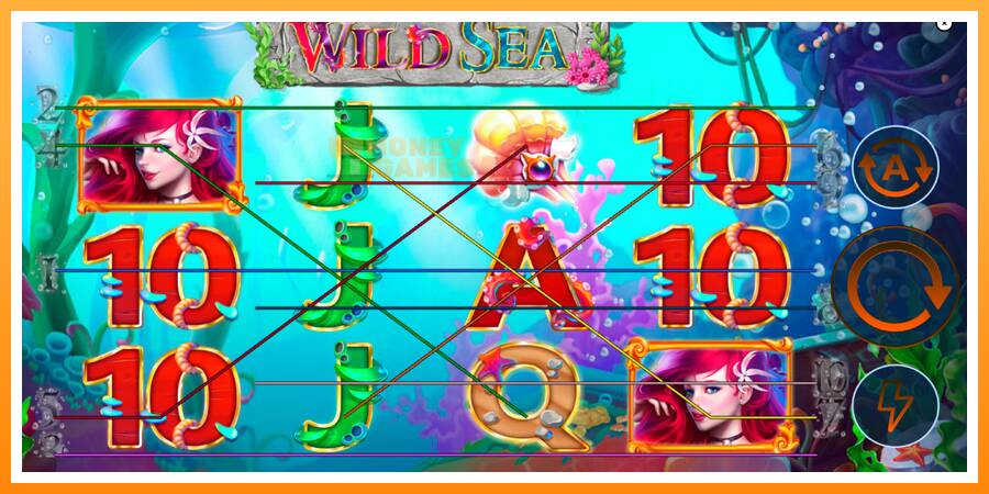 ลองสัมผัสเครื่องดูครับ Wild Sea, รูปภาพ 1: เล่นเพื่อเงิน