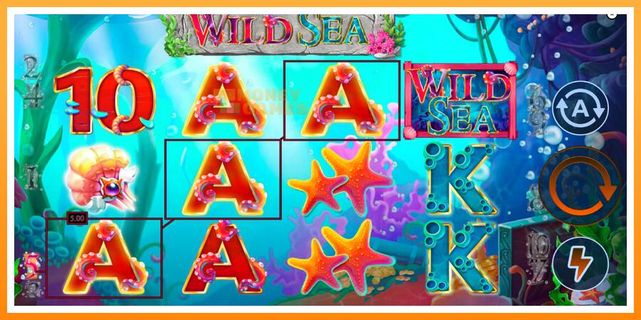 ลองสัมผัสเครื่องดูครับ Wild Sea, รูปภาพ 2: เล่นเพื่อเงิน