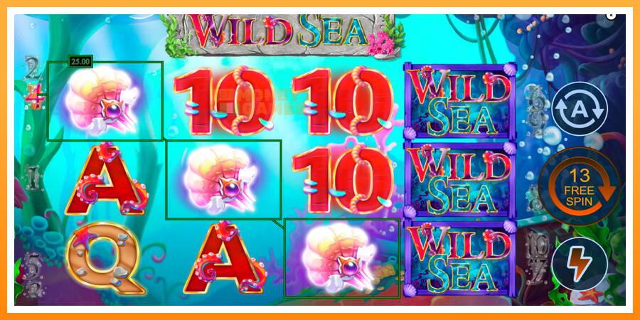 ลองสัมผัสเครื่องดูครับ Wild Sea, รูปภาพ 3: เล่นเพื่อเงิน