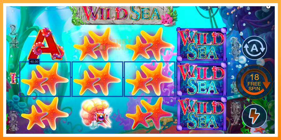 ลองสัมผัสเครื่องดูครับ Wild Sea, รูปภาพ 4: เล่นเพื่อเงิน