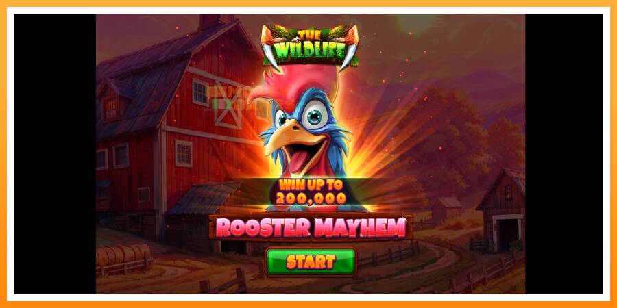 ลองสัมผัสเครื่องดูครับ Rooster Mayhem, รูปภาพ 1: เล่นเพื่อเงิน