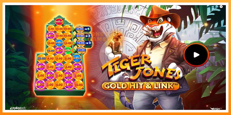 ลองสัมผัสเครื่องดูครับ Gold Hit & Link: Tiger Jones, รูปภาพ 1: เล่นเพื่อเงิน