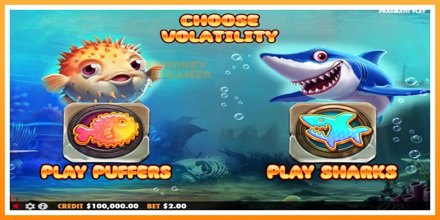 ลองสัมผัสเครื่องดูครับ Puffers Vs Sharks, รูปภาพ 1: เล่นเพื่อเงิน