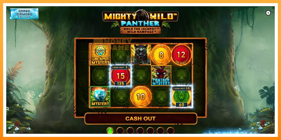 ลองสัมผัสเครื่องดูครับ Mighty Wild: Panther Grand Diamond Edition, รูปภาพ 1: เล่นเพื่อเงิน