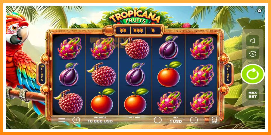 ลองสัมผัสเครื่องดูครับ Tropicana Fruits, รูปภาพ 2: เล่นเพื่อเงิน