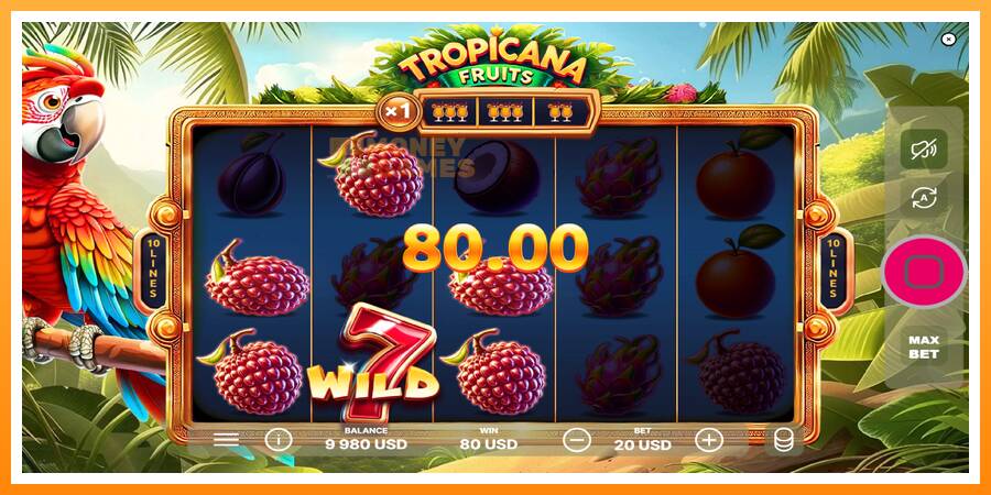 ลองสัมผัสเครื่องดูครับ Tropicana Fruits, รูปภาพ 3: เล่นเพื่อเงิน