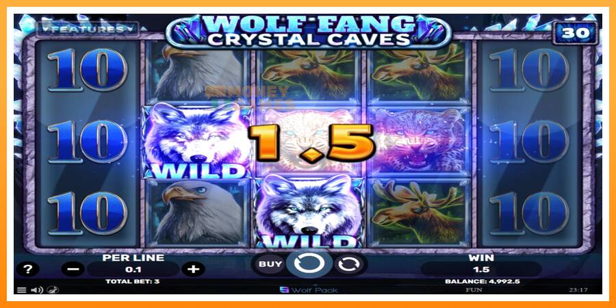 ลองสัมผัสเครื่องดูครับ Wolf Fang - Crystal Caves, รูปภาพ 3: เล่นเพื่อเงิน