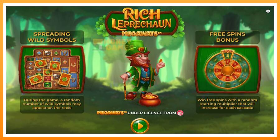 ลองสัมผัสเครื่องดูครับ Rich Leprechaun Megaways, รูปภาพ 1: เล่นเพื่อเงิน