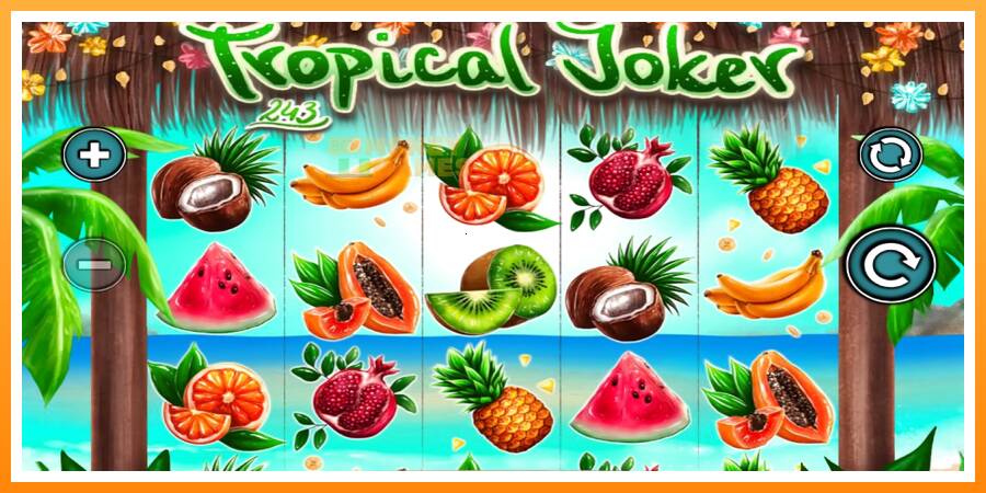 ลองสัมผัสเครื่องดูครับ Tropical Joker, รูปภาพ 1: เล่นเพื่อเงิน