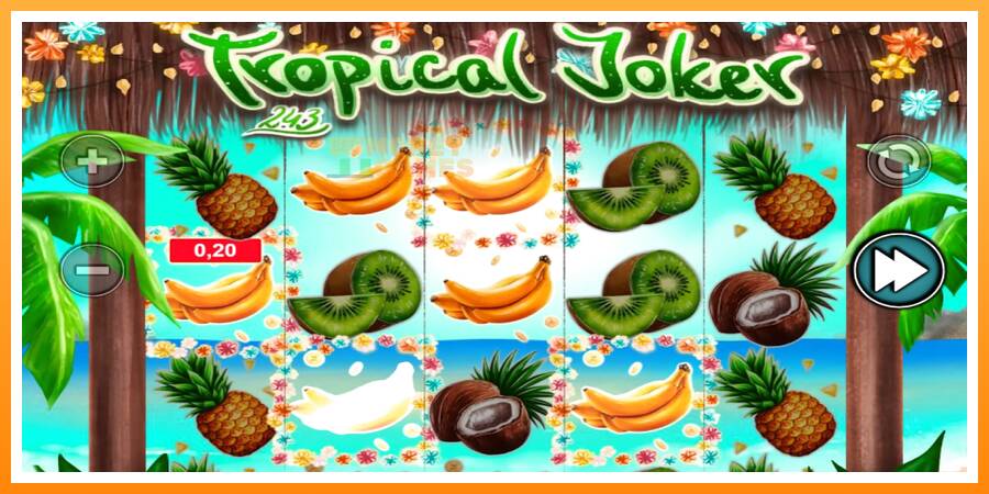 ลองสัมผัสเครื่องดูครับ Tropical Joker, รูปภาพ 3: เล่นเพื่อเงิน