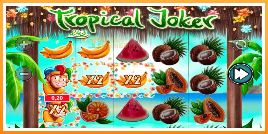 ลองสัมผัสเครื่องดูครับ Tropical Joker, รูปภาพ 4: เล่นเพื่อเงิน