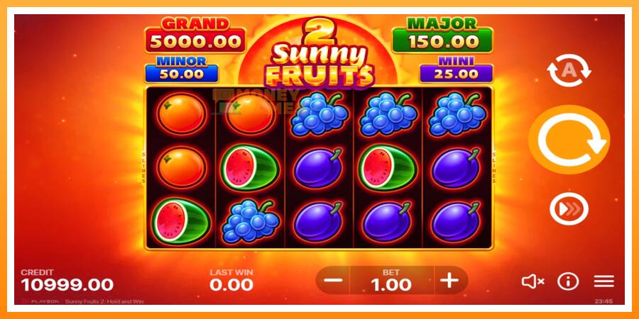 ลองสัมผัสเครื่องดูครับ Sunny Fruits 2: Hold and Win, รูปภาพ 2: เล่นเพื่อเงิน