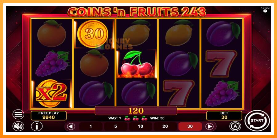 ลองสัมผัสเครื่องดูครับ Coinsn Fruits 243, รูปภาพ 4: เล่นเพื่อเงิน