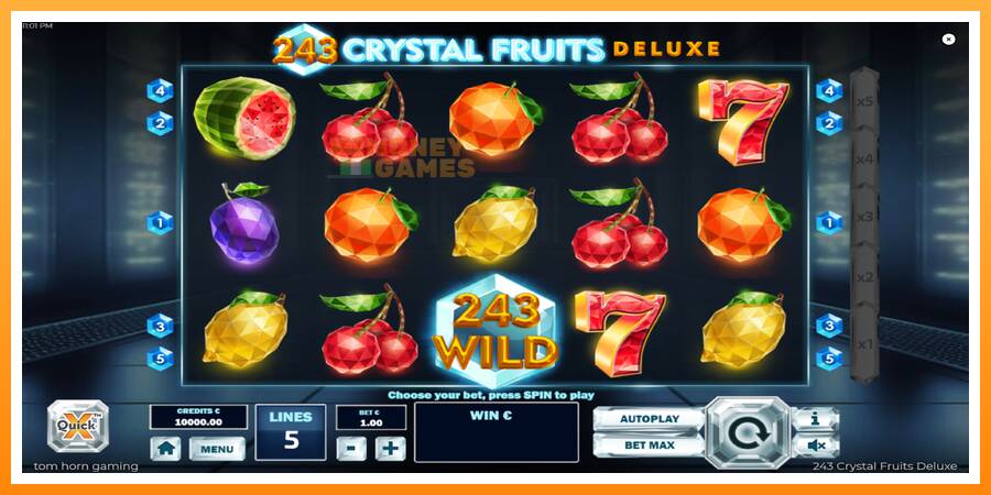 ลองสัมผัสเครื่องดูครับ 243 Crystal Fruits Deluxe, รูปภาพ 2: เล่นเพื่อเงิน