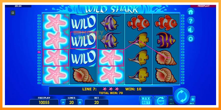 ลองสัมผัสเครื่องดูครับ Wild Shark, รูปภาพ 3: เล่นเพื่อเงิน