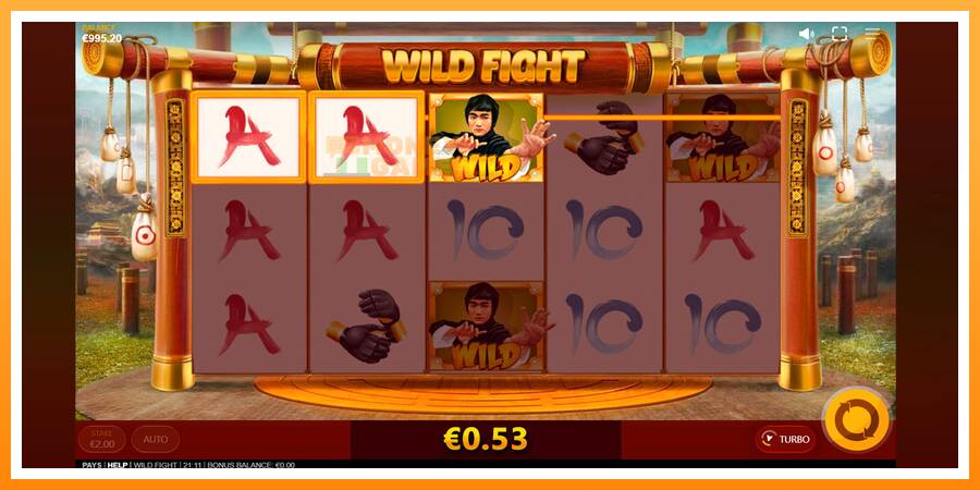 ลองสัมผัสเครื่องดูครับ Wild Fight, รูปภาพ 4: เล่นเพื่อเงิน