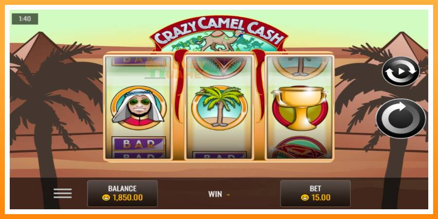 ลองสัมผัสเครื่องดูครับ Crazy Camel Cash, รูปภาพ 2: เล่นเพื่อเงิน