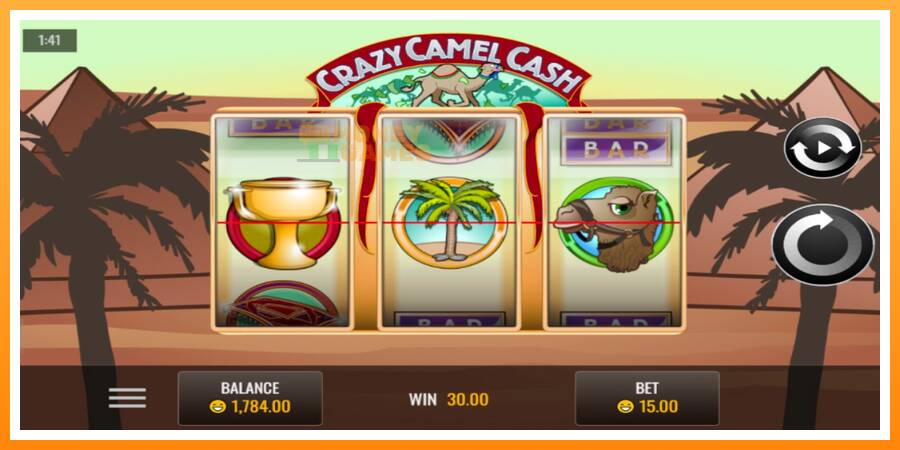 ลองสัมผัสเครื่องดูครับ Crazy Camel Cash, รูปภาพ 4: เล่นเพื่อเงิน