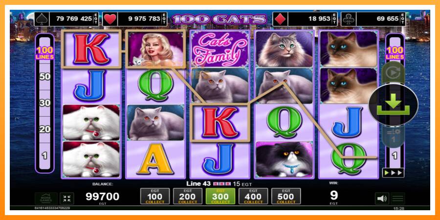 ลองสัมผัสเครื่องดูครับ 100 Cats, รูปภาพ 2: เล่นเพื่อเงิน