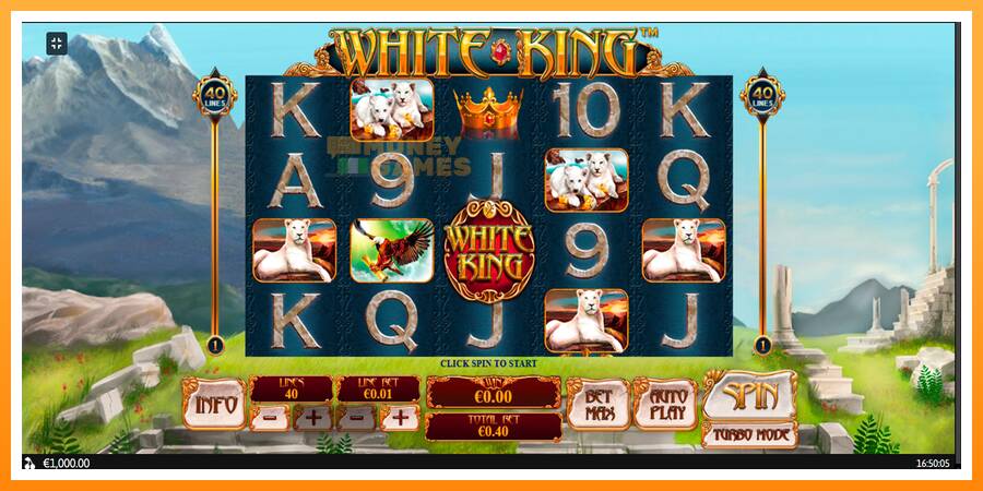 ลองสัมผัสเครื่องดูครับ White King, รูปภาพ 1: เล่นเพื่อเงิน