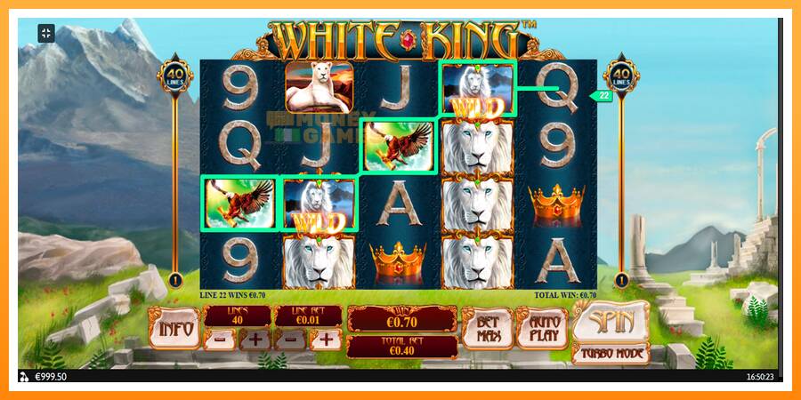 ลองสัมผัสเครื่องดูครับ White King, รูปภาพ 2: เล่นเพื่อเงิน