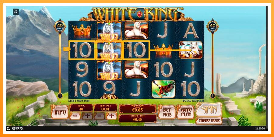 ลองสัมผัสเครื่องดูครับ White King, รูปภาพ 3: เล่นเพื่อเงิน