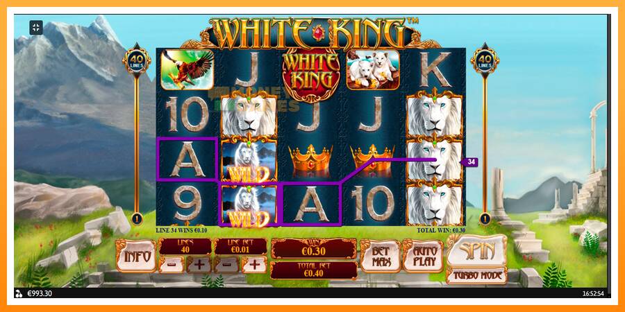 ลองสัมผัสเครื่องดูครับ White King, รูปภาพ 9: เล่นเพื่อเงิน