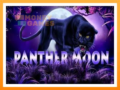 เครื่องเกม Panther Moon - เกมเพื่อเงินจริง