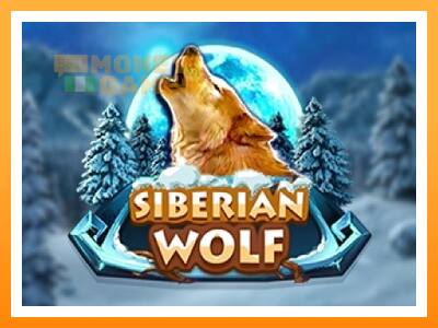 เครื่องเกม Siberian Wolf - เกมเพื่อเงินจริง