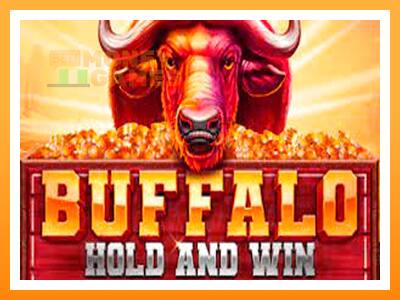 เครื่องเกม Buffalo Hold and Win Extreme - เกมเพื่อเงินจริง