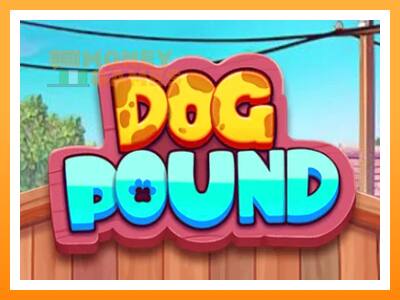 เครื่องเกม Dog Pound - เกมเพื่อเงินจริง