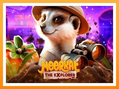 เครื่องเกม Meerkat - เกมเพื่อเงินจริง