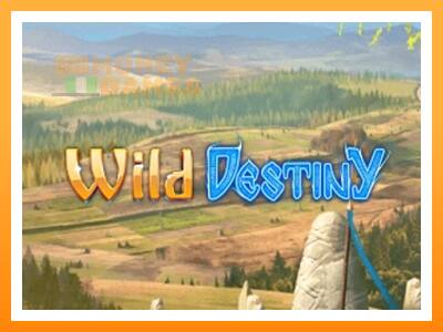 เครื่องเกม Wild Destiny - เกมเพื่อเงินจริง