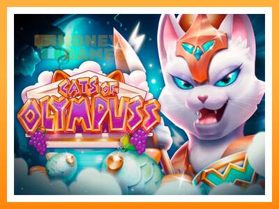 เครื่องเกม Cats of Olympuss - เกมเพื่อเงินจริง