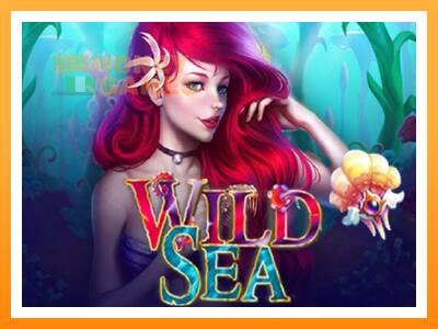 เครื่องเกม Wild Sea - เกมเพื่อเงินจริง