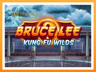 เครื่องเกม Bruce Lee Kung Fu Wilds - เกมเพื่อเงินจริง